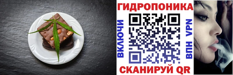Canna-Cookies марихуана  Купить закладки  Глазов 