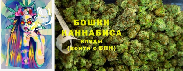 тгк Богородицк