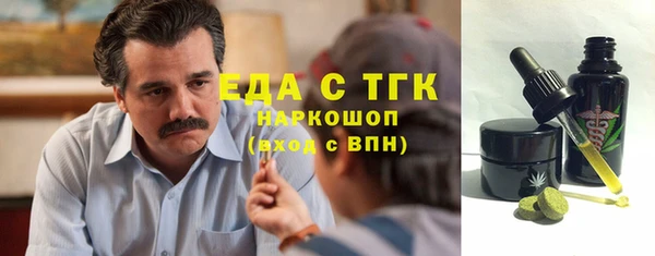 тгк Богородицк