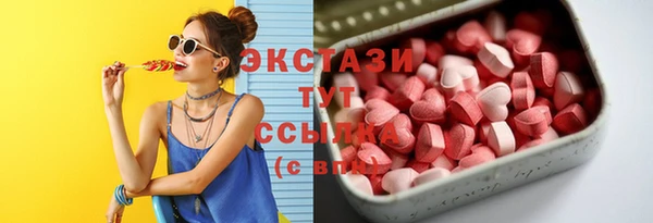 тгк Богородицк