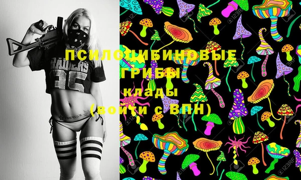 тгк Богородицк
